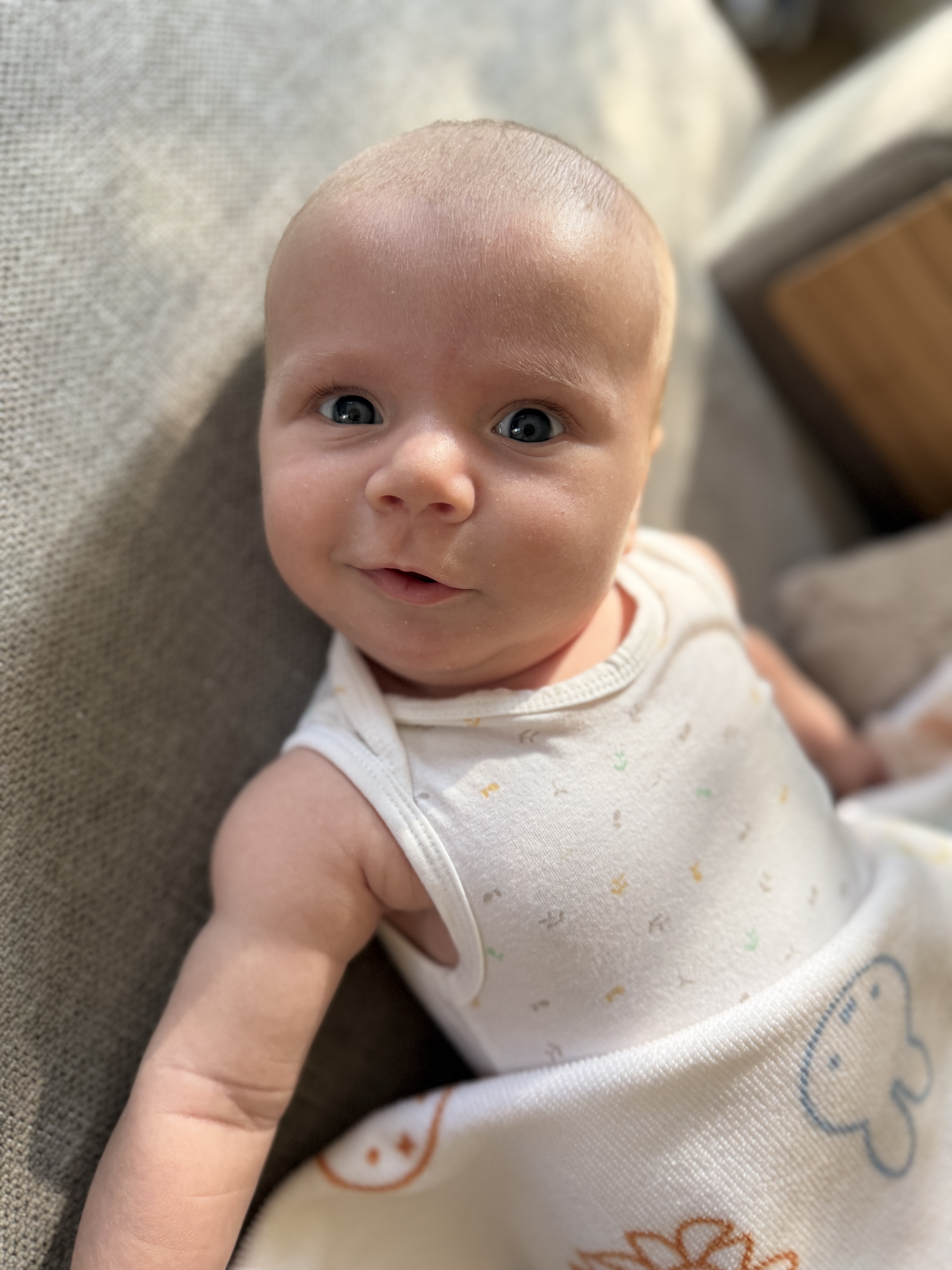 Gijs